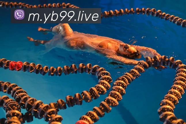 App功能展示图